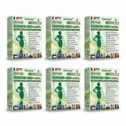 CE-zertifiziert & GMP-zertifiziert | 🧑‍⚕️🩺 Solaroza® Moringa & Berberin 10-IN-1 Fortschrittliches Nano-Mikronadelpflaster | Wissenschaftlich belegt | 10-in-1 Formel | Ergebnisse in 5 Tagen 🩺