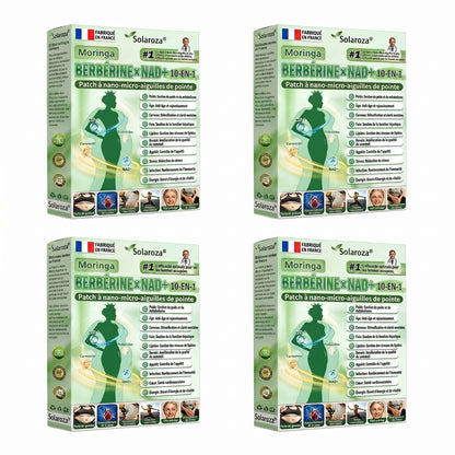 CE-zertifiziert & GMP-zertifiziert | 🧑‍⚕️🩺 Solaroza® Moringa & Berberin 10-IN-1 Fortschrittliches Nano-Mikronadelpflaster | Wissenschaftlich belegt | 10-in-1 Formel | Ergebnisse in 5 Tagen 🩺
